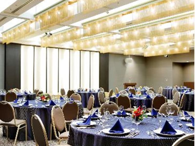 写真8枚目