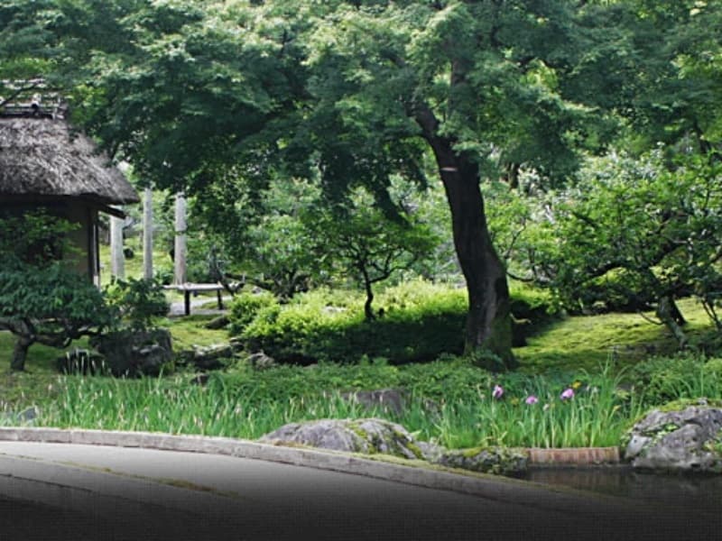 京都洛北の鷹ケ峯三山に広がる美しい庭