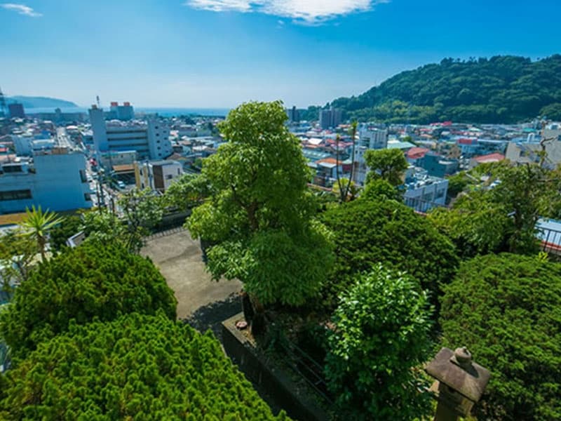 写真4枚目