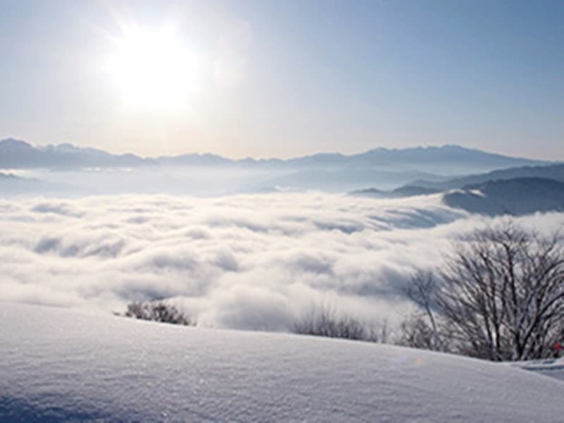 【ひだ流葉スキー場 山頂ゲレンデからの景色】
コース数が全8本で変化に富んでおり、スキーもスノーボードも、初心者から上級者まで楽しめ、リフトの待ち時間がほとんどなく、1日中無駄なく滑ることができます。