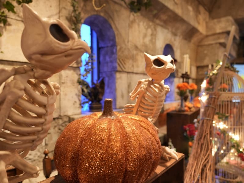 🎃10/31まで期間限定ハロウィンデザイン🎃今だけしか出会えない装飾とお料理を楽しめます