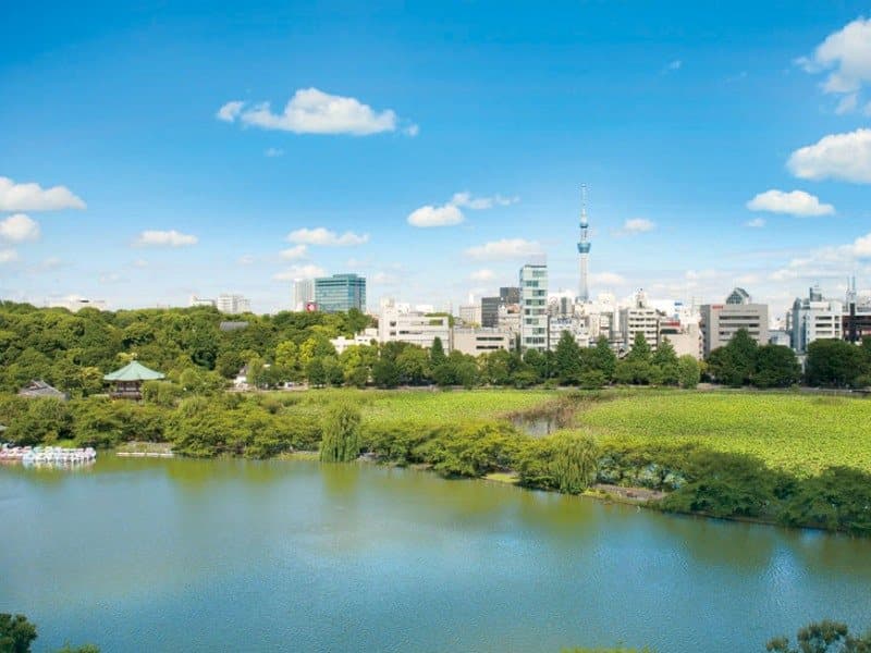 店内からは、不忍池越しに東京スカイツリーもご覧いただけます。