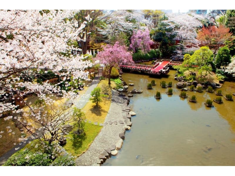 日本庭園『春』
四季折々の表情を見せる絶景日本庭園。
全てのバンケットから日本庭園を臨めめます。
謝恩会、歓送迎会、入社式等春らしいイベントを桜で彩ります。