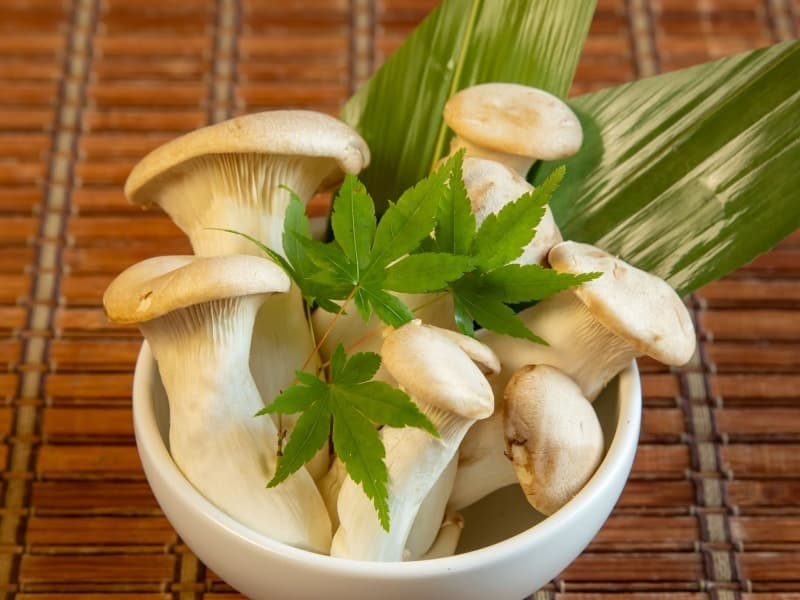 食材の一例