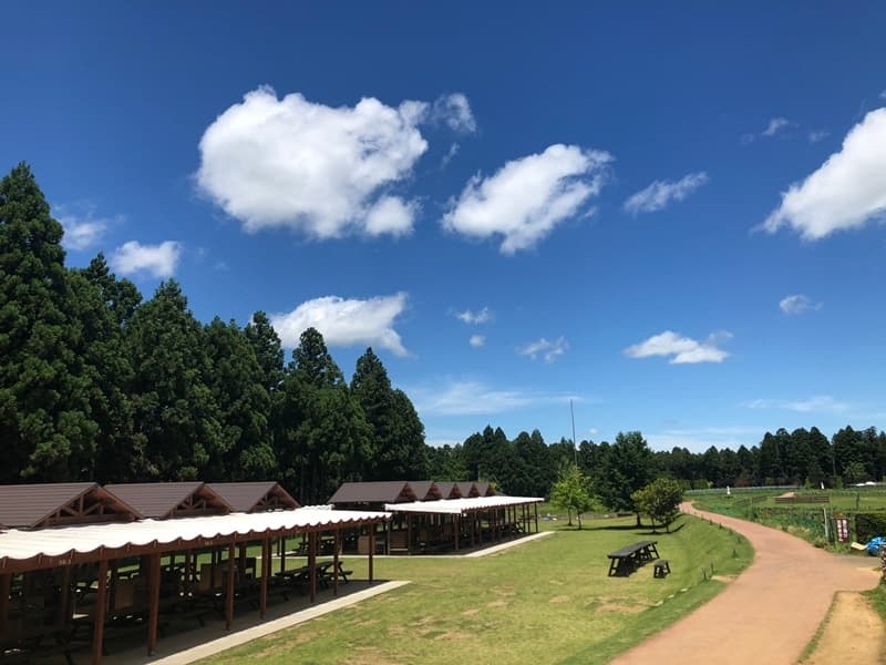 BBQ場