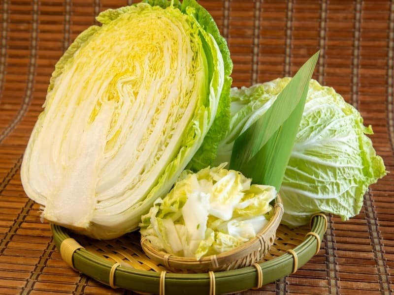 「こだわりのお野菜」
毎日、厳選した新鮮なお野菜をお届けします。