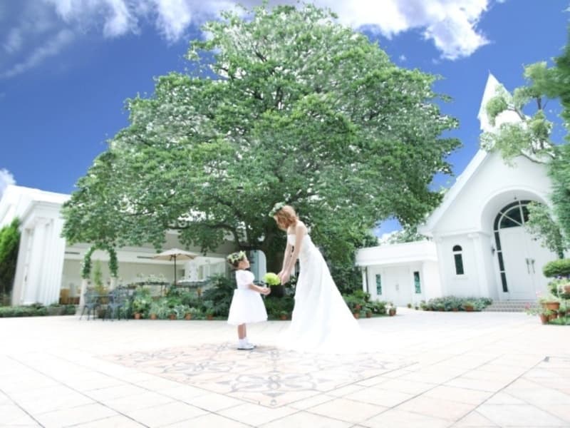 大きな木の下のガーデン