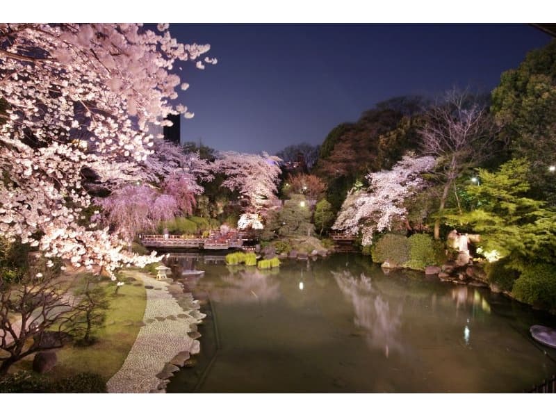 日本庭園『夜桜』
四季折々の表情を見せる絶景日本庭園。夜はライトアップが魅力です。
全てのバンケットから日本庭園を臨めめます。
謝恩会、歓送迎会、入社式等春らしいイベントを桜で彩ります。