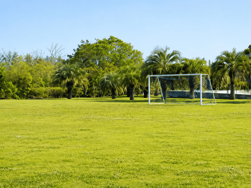 「サッカー場」
蓮沼海浜公園内／広さ：70m×40m／利用時間：9:00～17:00