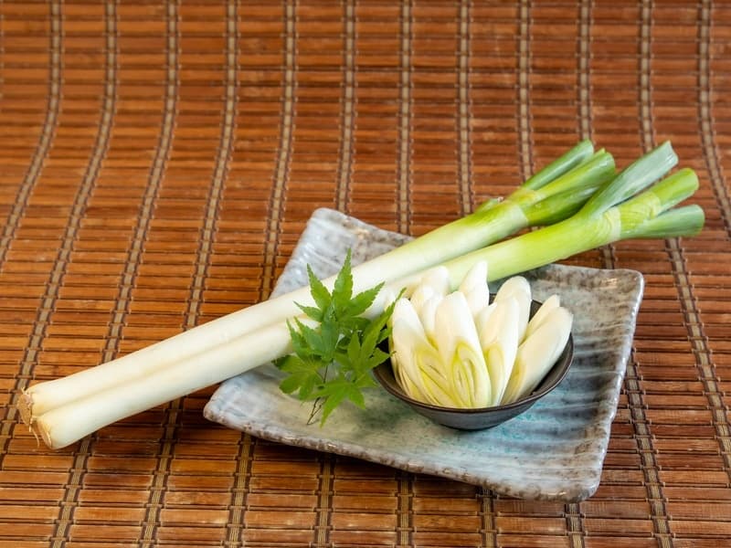 食材の一例