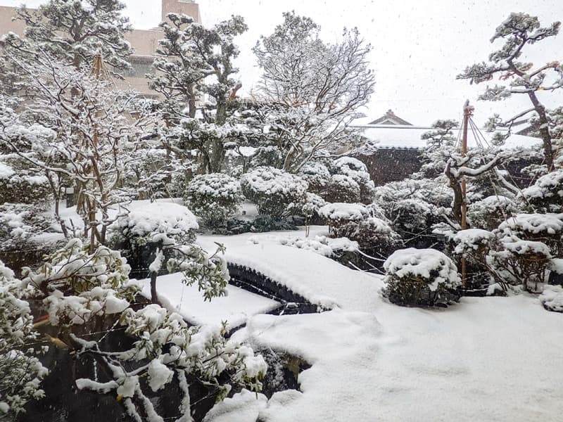 冬の庭園。
四季折々の庭園をお楽しみいただけます。