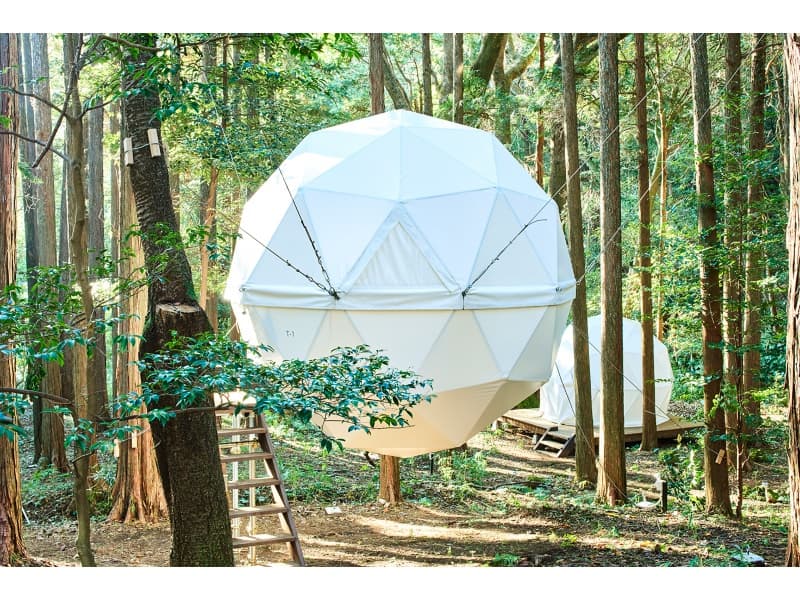 森に浮かぶ球体テント（定員2名）