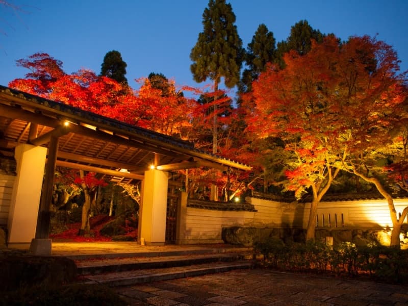 四季の風景を楽しめる庭園入口