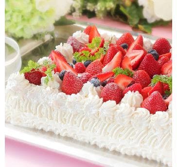 画像はオプションケーキイメージです。
Mサイズ（390×290×50cm）￥40,000
Lサイズ（500×360×50cm）￥60,000　※税サ込