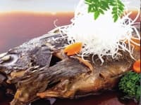 加太の新鮮で豊富な海の幸