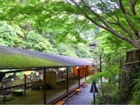 【会場】
新緑の川床です。
川床をご利用の場合は、最大200名様収容可能です。