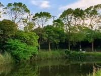施設内には、釣り体験が楽しめる池がある