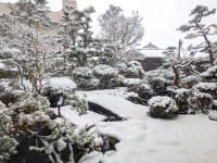 冬の庭園。
四季折々の庭園をお楽しみいただけます。