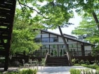 窓から眺める森の景色が感じられる温かな会場