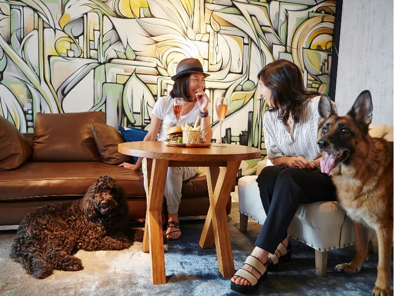 愛犬同伴可・DOG MENUあり
店内全てのエリアを、愛犬と一緒にご利用いただけます