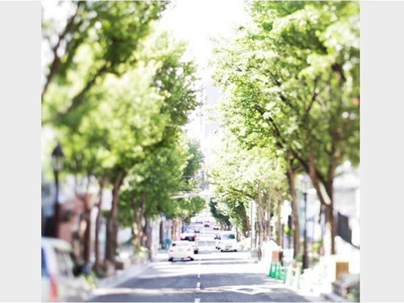 異国情緒あふれる街並みに緑があざやかな神戸北野。異人館やおしゃれな飲食店など、今日も世界中からたくさんの人々が観光に訪れます。