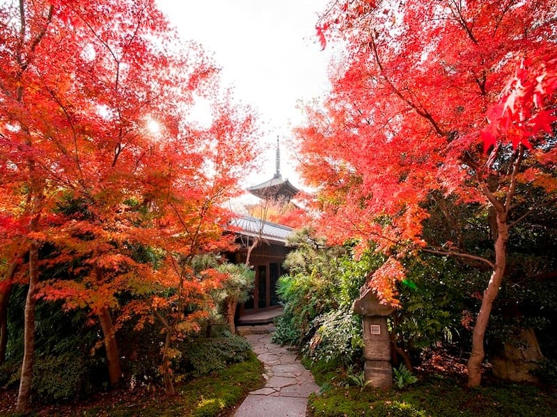 ■庭園からの景色
庭園から望むことが出来る八坂の塔は、四季折々で雰囲気が違い、さまざまな景色が楽しめます。