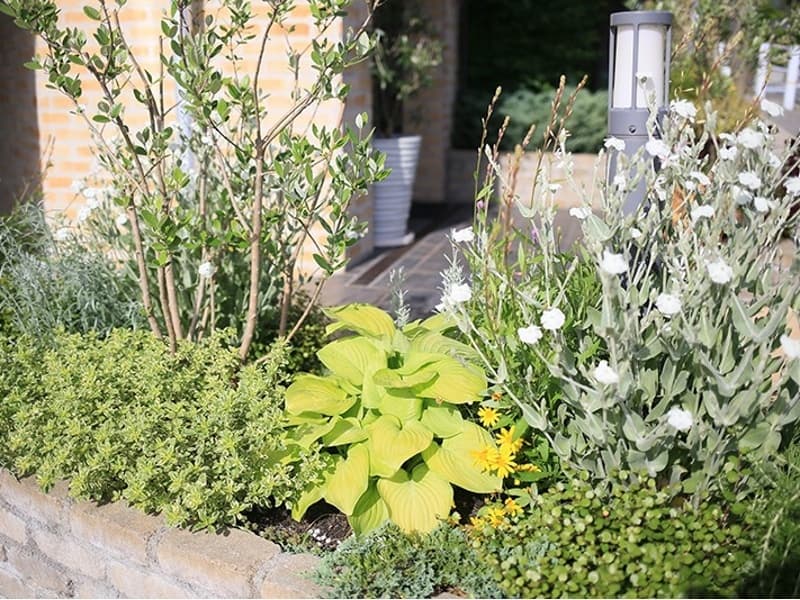 お店の周りにも自然がたくさん