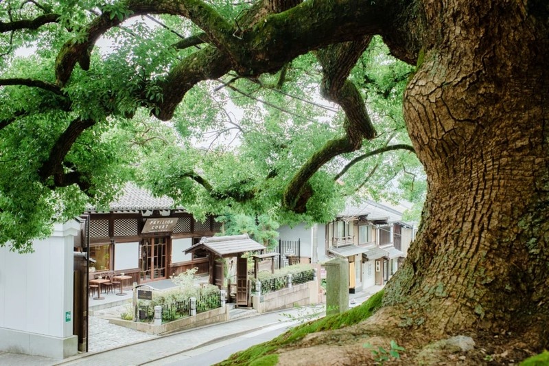 地下鉄東西線東山駅から徒歩約5分でアクセスできるPAVILION COURTは、樹齢800年のクスノキで有名な天台宗・青蓮院門跡の真正面に位置しています。
