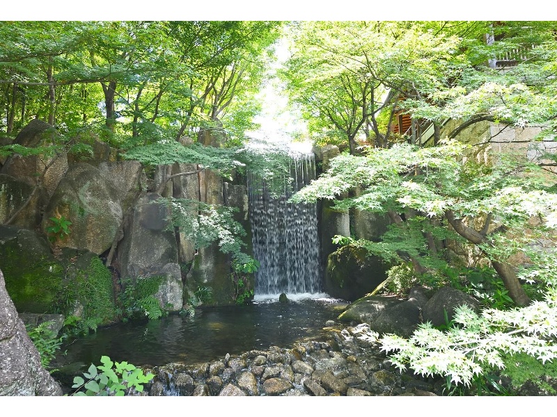 5月下旬～夏頃
徳川園は新緑から濃緑へ包まれていきます。
日本庭園ならではの緑溢れる空間を眺めながら、
ぜひお食事をお楽しみください。