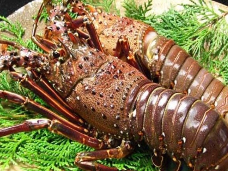 季節のお料理グレードアップ会席プラン
秋：伊勢海老