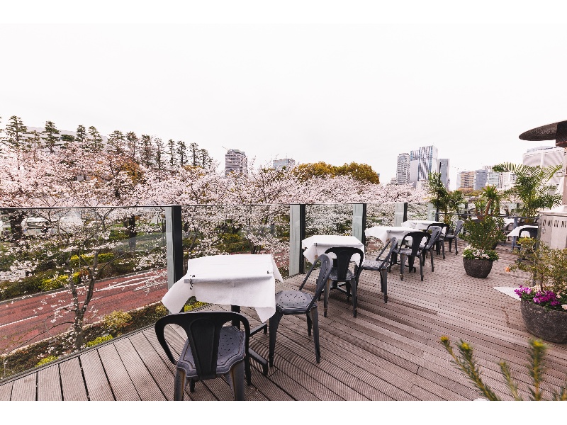 桜の時期の開放的なテラス席