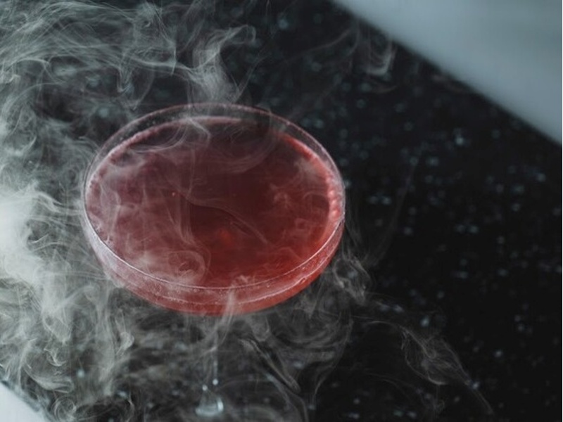 ワイン、カクテル、ビール、ハイボール、サワーなど豊富なドリンクメニュー。バーテンダーが作る本格カクテルから気軽に楽しめる一杯まで、78種類以上のラインナップで飲み放題も充実しています。