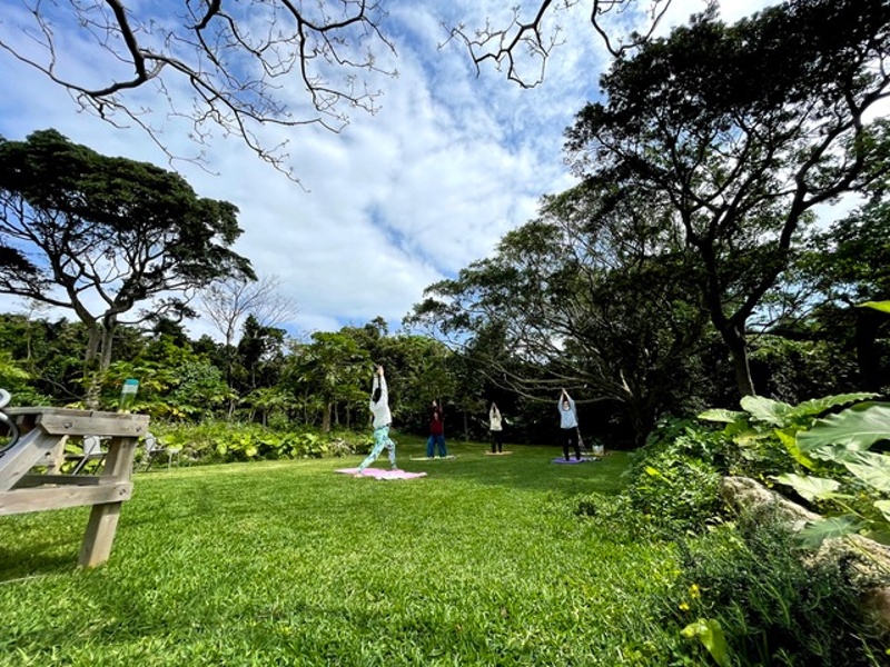 朝ヨガ、夜ヨガ