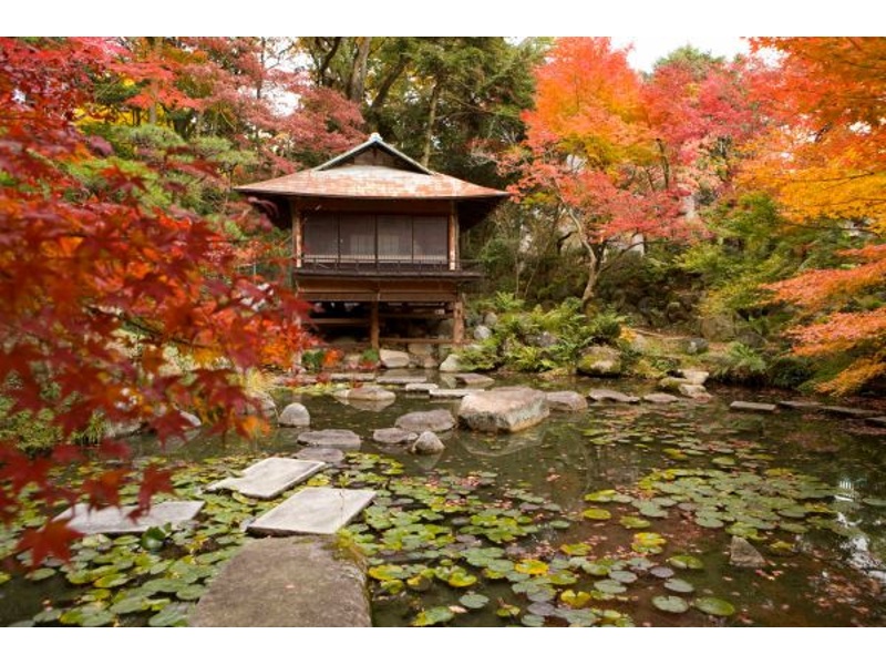 【日本庭園】
日本庭園内には２つの国登録文化財である茶室の「真珠邸」、離れの「松風閣」があり、秋には紅葉が見事な美しい名勝庭園です。