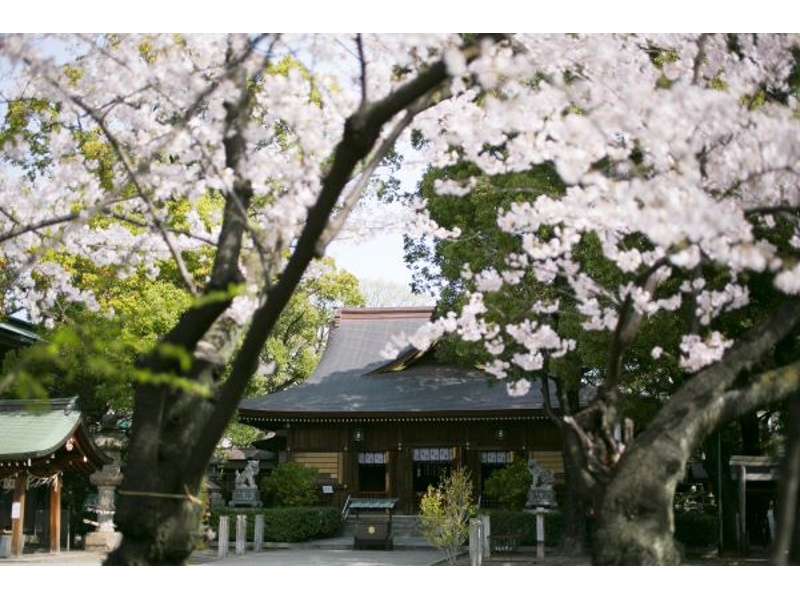 名古屋市内でも有数の桜の名所です