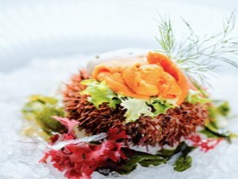 季節のThe SEA by ALLY'S ディナーコース9品