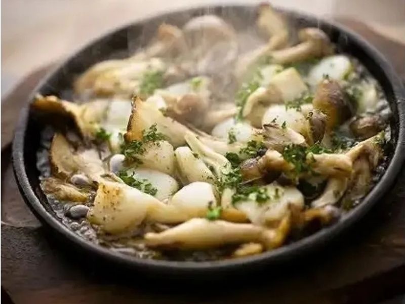 カジュアルプラン