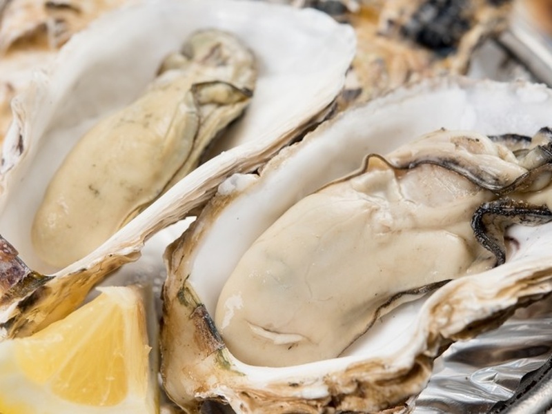 的矢かき（季節限定）