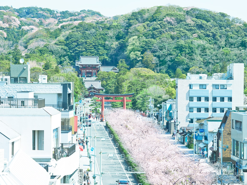鶴岡八幡宮へ徒歩5分。鎌倉駅からも徒歩5分の好立地。春の季節は目の前『段葛』に桜が咲き誇ります。季節の移り変わりを肌で感じられる古都鎌倉で、パーティの前後での散策もお勧めです。