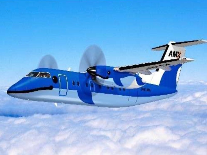 天草エアライン親子イルカの飛行機が空中散歩