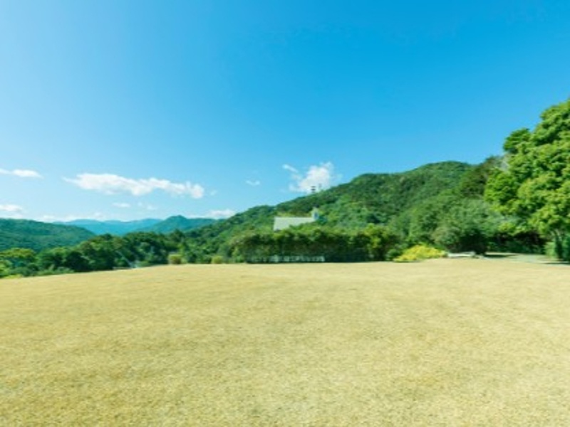 当館すぐ隣には、自由に遊べる芝生のふれあい広場があり、お子さまがのびのびと過ごせる安心のスペースです。