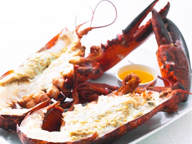 ライブロブスター