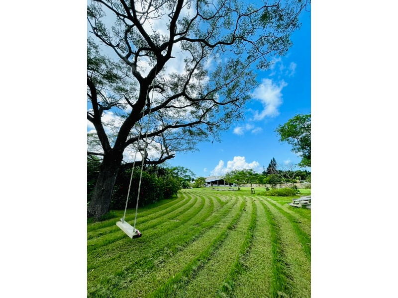 大きなブランコもあります