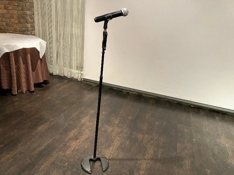 ワイヤレスマイクあり