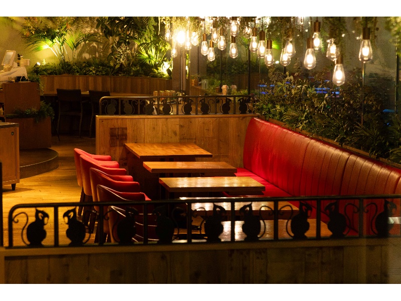 店内写真　店内陽明は調光可能です。