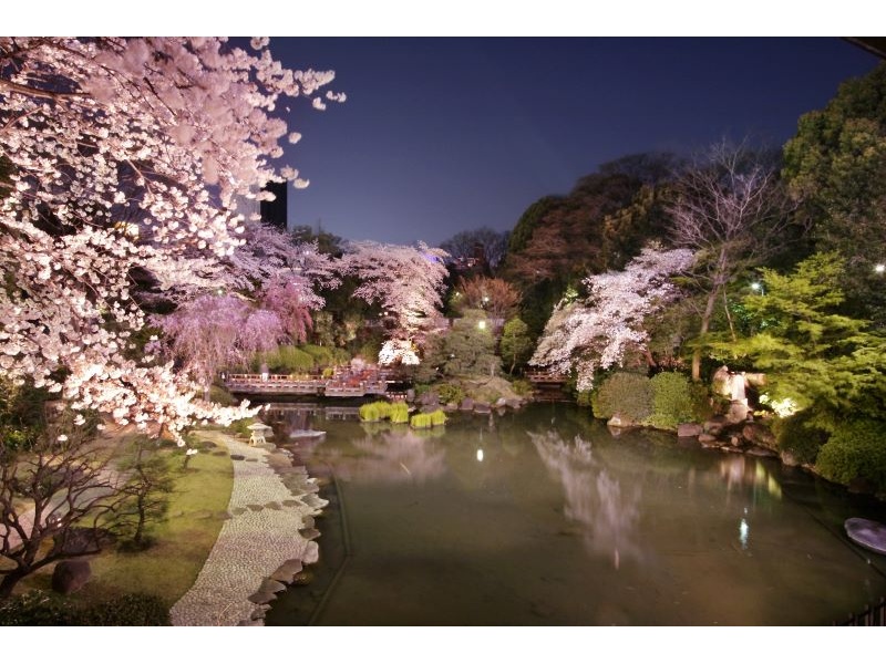 日本庭園『夜桜』