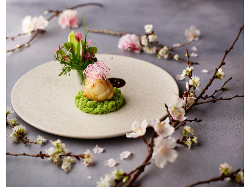 【期間限定！】2026ニューイヤー・新年会プラン