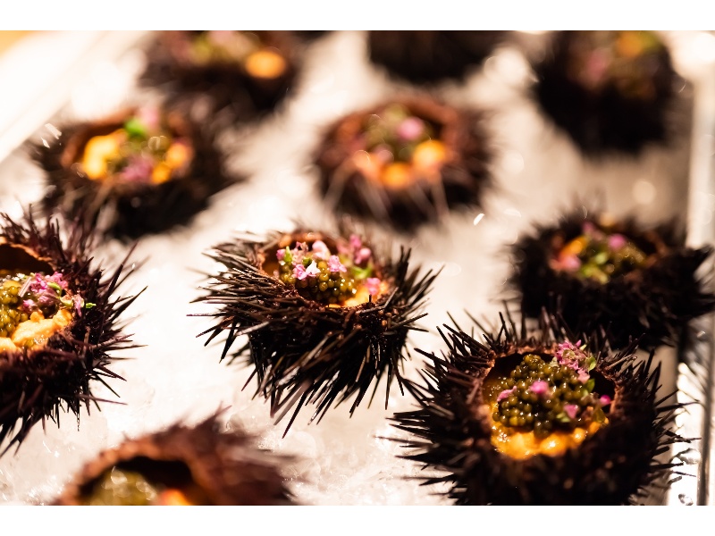 旬の食材をふんだんに使用した季節のコース料理。前菜からメイン、デザートまで、イタリアの伝統と創作が融合した極上の味わいをご堪能ください。