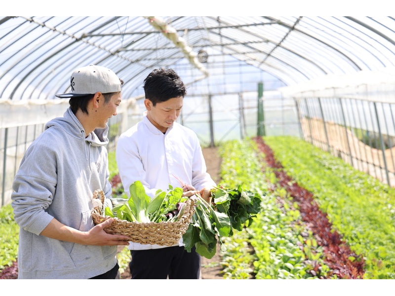 直接農家さんから仕入れる新鮮な野菜