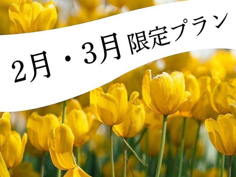 2月・3月限定プラン